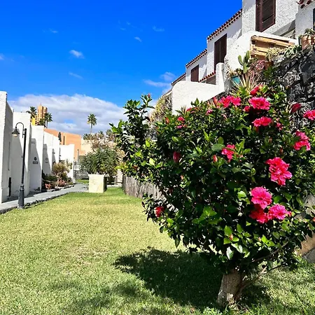 Troya Holiday home Costa Adeje (Tenerife)