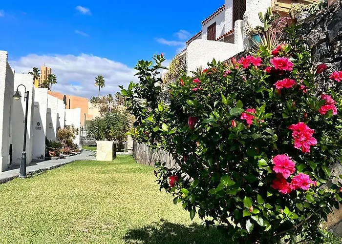 Troya Casa vacanze Costa Adeje (Tenerife)